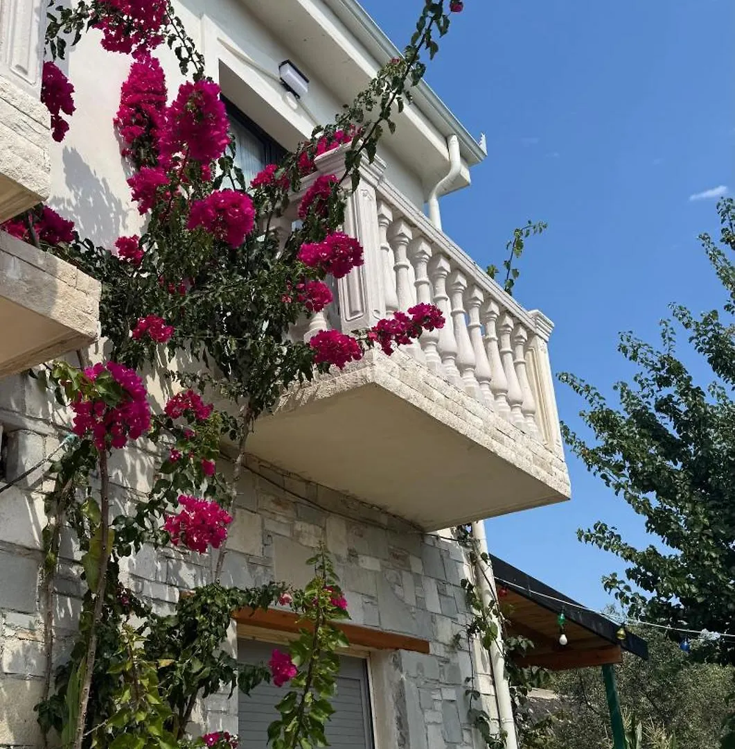 Vila Bleta Vlorë 0*,  Albânia